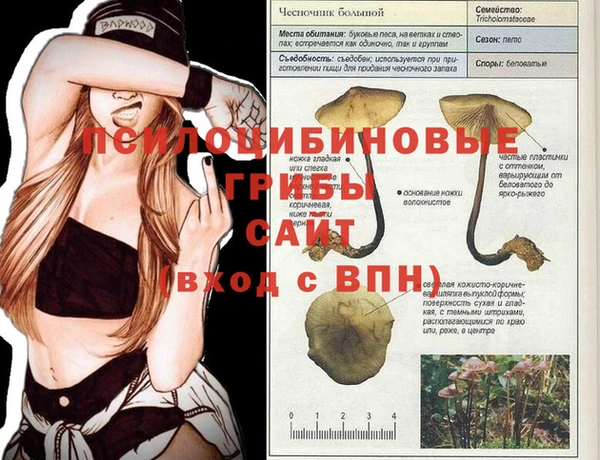 амф Туринск